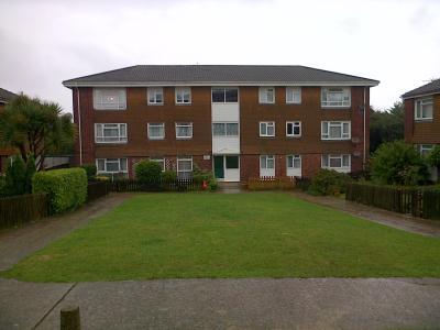 Front view